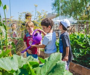 Campers gardening