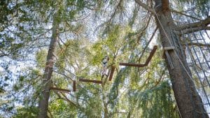 Camper doing a high ropes obstacle