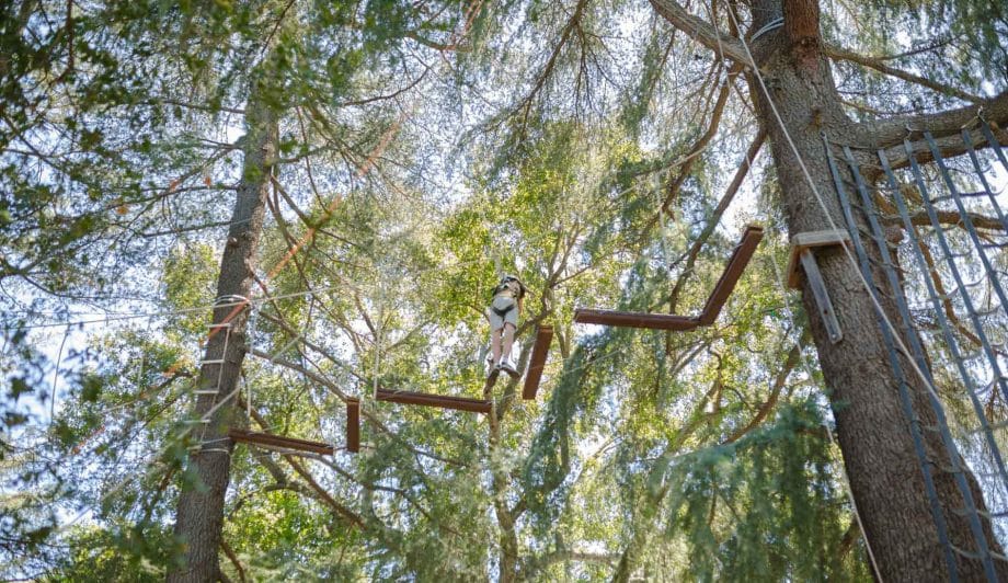 Camper doing a high ropes obstacle