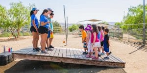 Staff verses campers on balance board