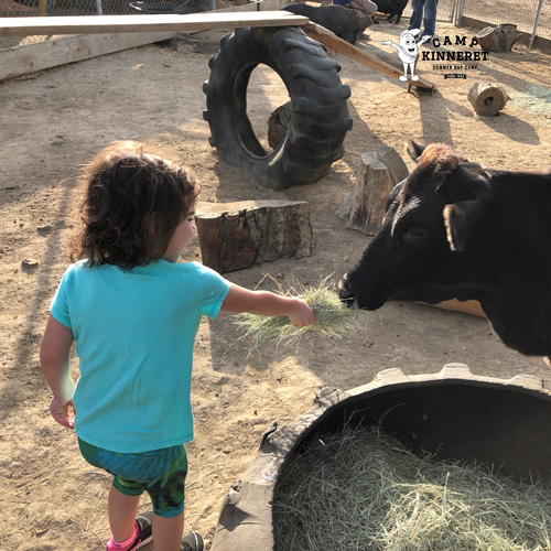 Ryan's daughter feeding Brownie