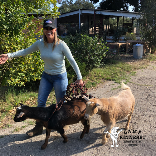 Woody and Buzz the Goats